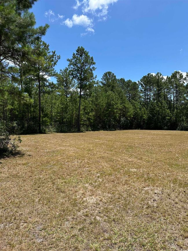 218 Samworth Loop, Home with 0 bedrooms, 0 bathrooms and null parking in Georgetown SC | Image 7