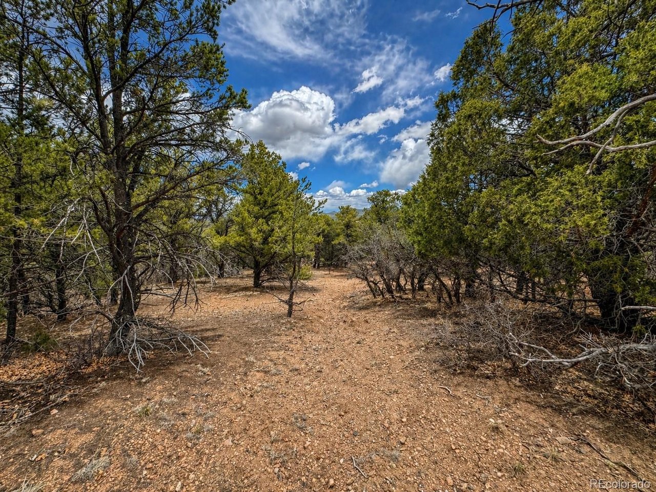 Land in Texas Creek