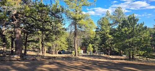 595 Mustang Trl, FLORISSANT, CO, 80816-9331 | Card Image