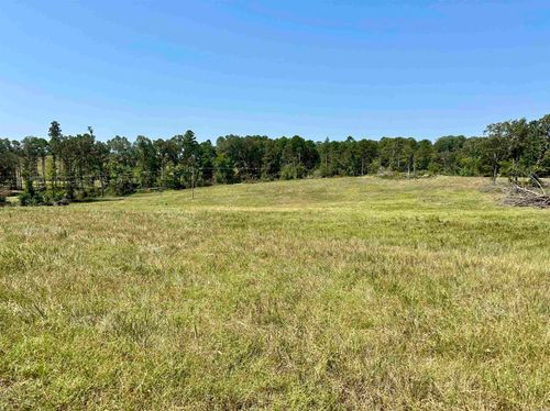 0 Cold Creek Ln, Cave City, AR, 72521 | Card Image