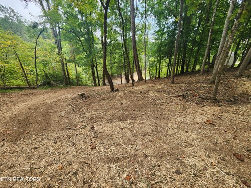 1515 Catoosa Dr, Mooresburg, TN, 37811-2662 | Card Image