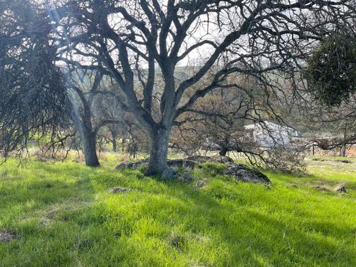 2672 Zelma Way, La Grange, CA, 95329-9693 | Card Image