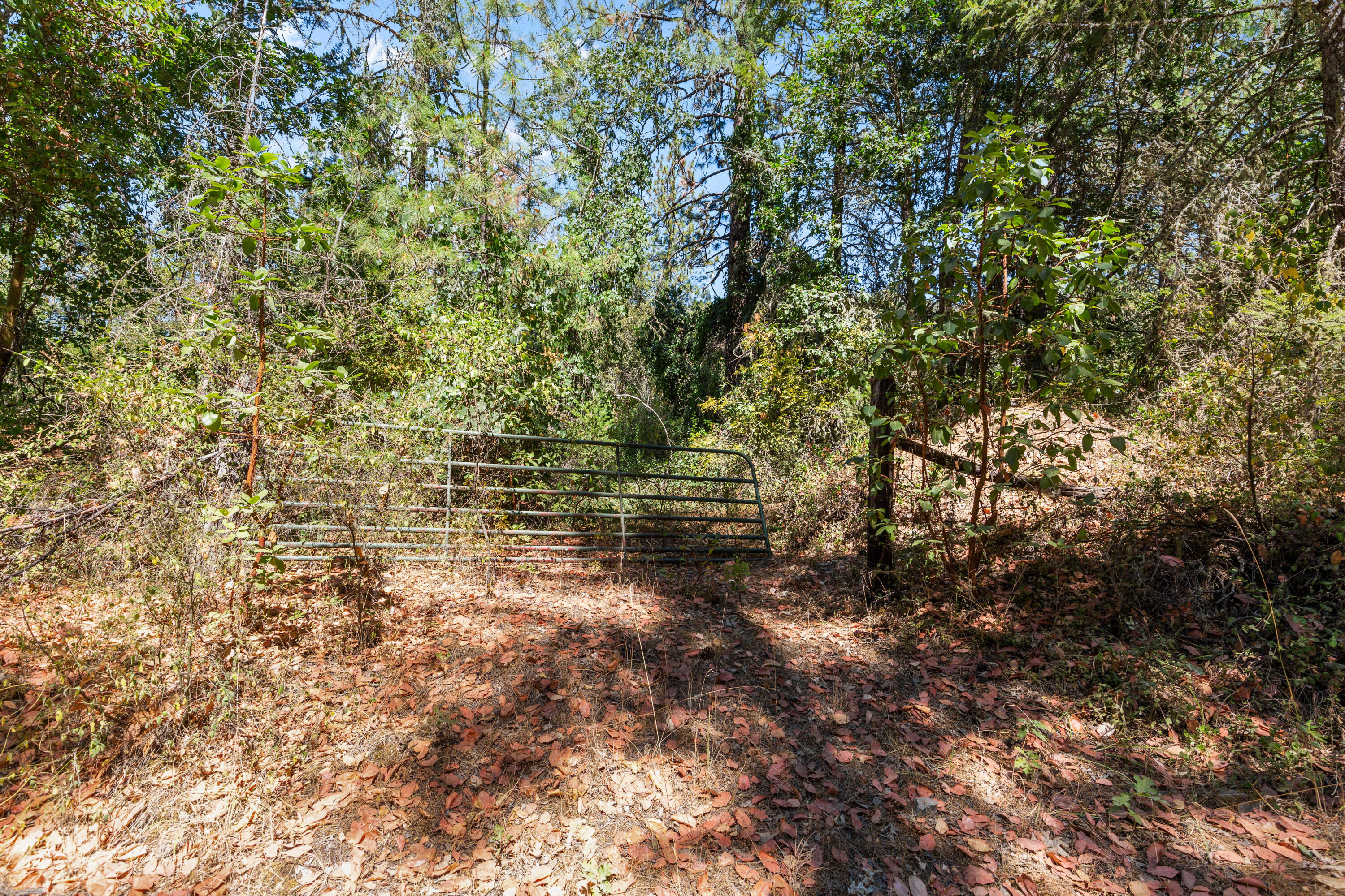 Land in Applegate 4