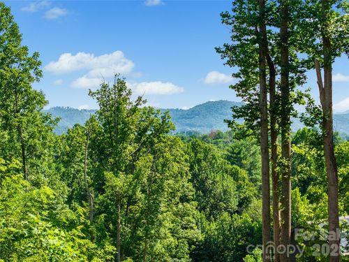 51 Wind Stone Dr, Asheville, NC, 28804-8806 | Card Image
