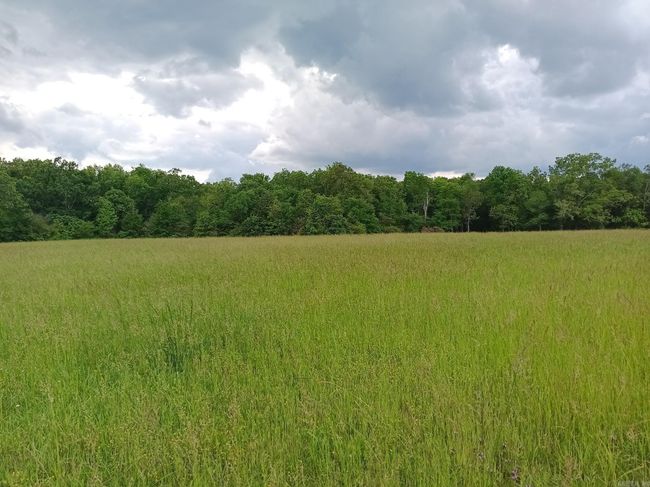 409 Russell Mountain Rd, Home with 0 bedrooms, 0 bathrooms and null parking in Bald Knob AR | Image 6