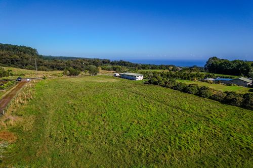 29-613 Chin Chuck Rd, HAKALAU, HI, 96710 | Card Image