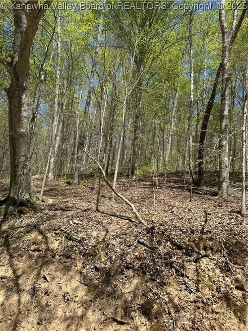 2 Sugartree Road, Alkol, WV, 25501 | Card Image