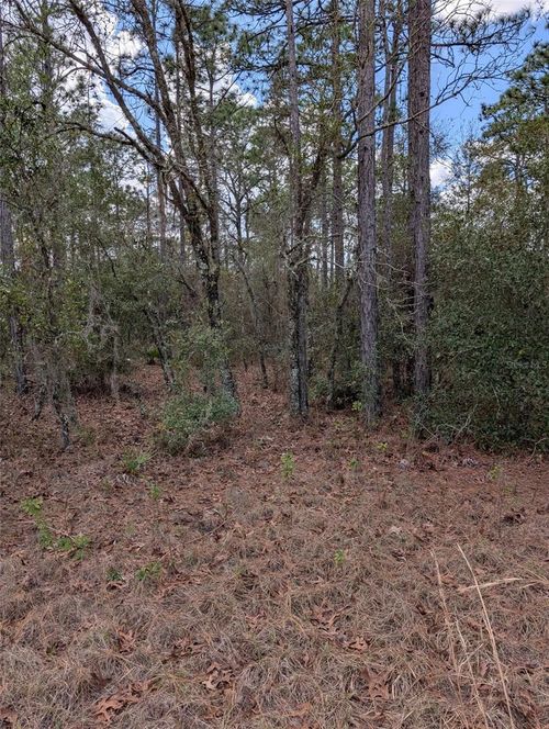 0 Sw 90th St, Dunnellon, FL, 34432 | Card Image