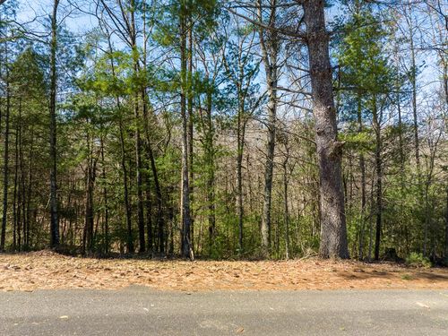Lot 164 Shenendoa Dr, ELLIJAY, GA, 30540-1354 | Card Image