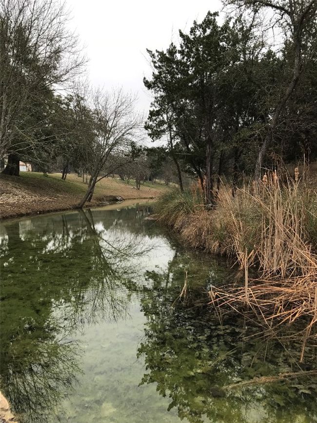 101 Hillview Trl, Home with 3 bedrooms, 2 bathrooms and null parking in Dripping Springs TX | Image 27