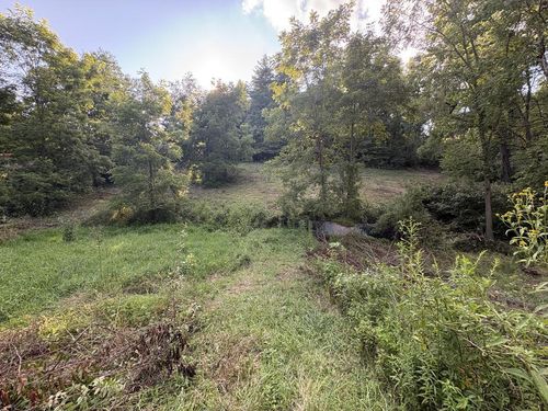 TBD Tattle Branch Rd, Chilhowie, VA, 24319 | Card Image