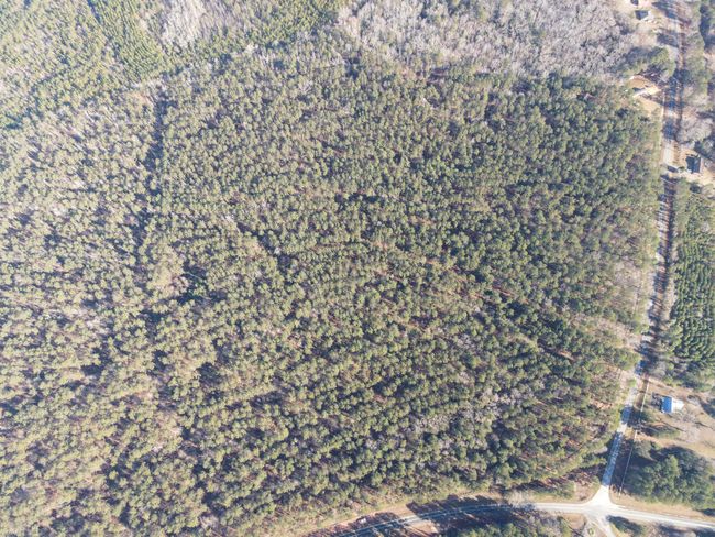 DJI_0876 | Image 10