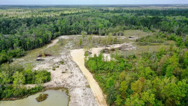 2771 S Highway 71, Home with 0 bedrooms, 0 bathrooms and null parking in Wewahitchka FL | Image 5