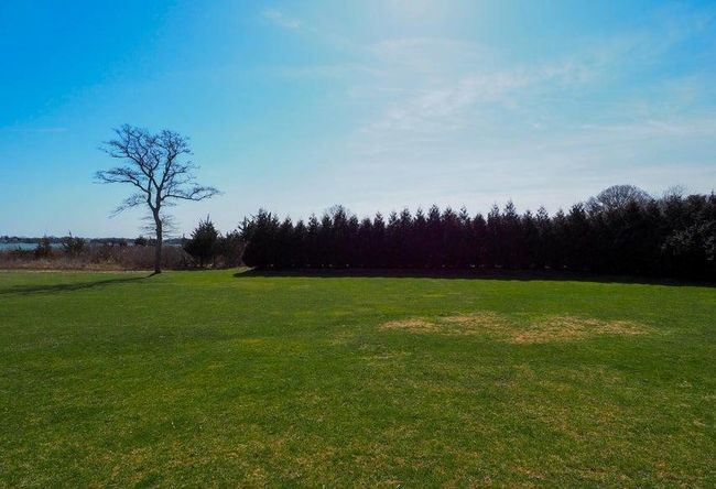 View of yard | Image 30