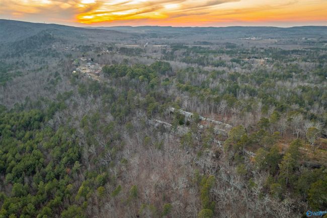 LOT 81 Mauney Lane, Home with 0 bedrooms, 0 bathrooms and null parking in Leesburg AL | Image 9