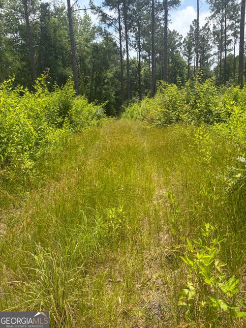 10 Sun Hill Grange Rd, Davisboro, GA, 31018 | Card Image