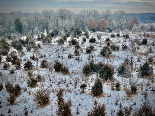 21423 Vergus Ave, Prior Lake, MN, 55372-8833 | Card Image