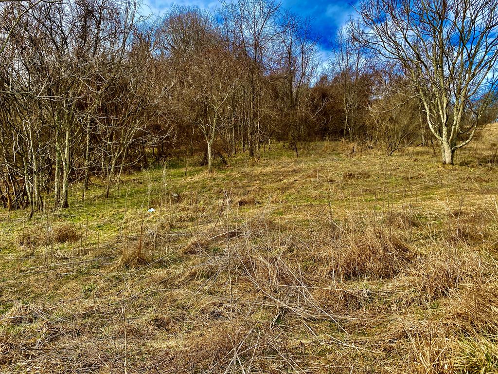 Land in Marion 4