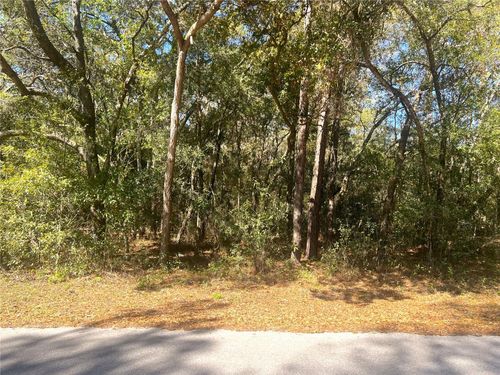 0000 Sw 199 Court Court, DUNNELLON, FL, 34431 | Card Image