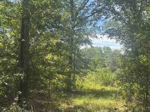 1651, 1571 Creek Mill Road, North, SC, 29112 | Card Image