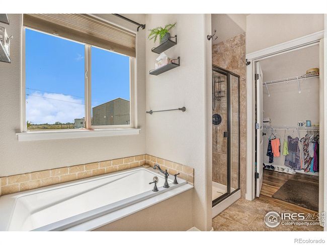 primary soaking tub with separate shower | Image 13