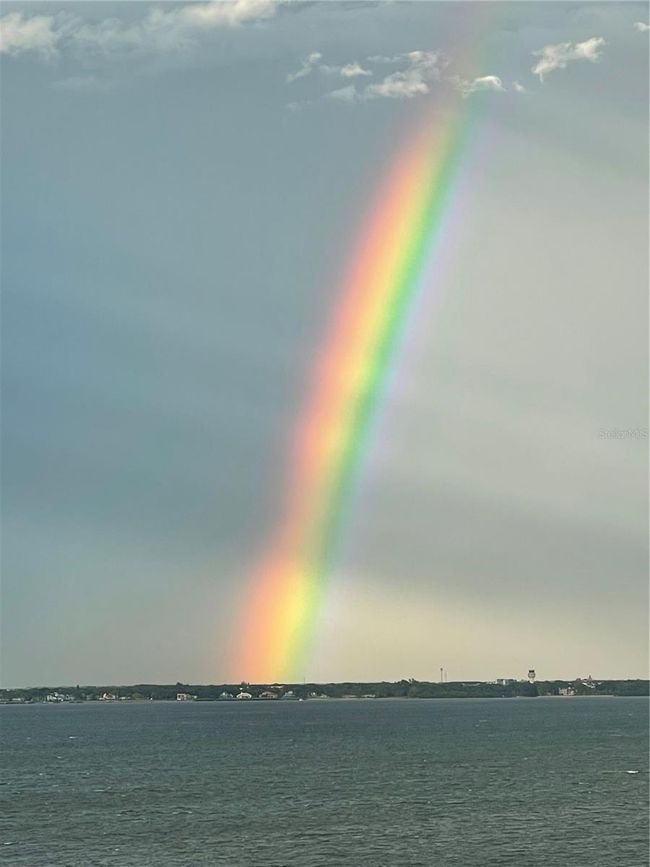 Pot O Gold | Image 51