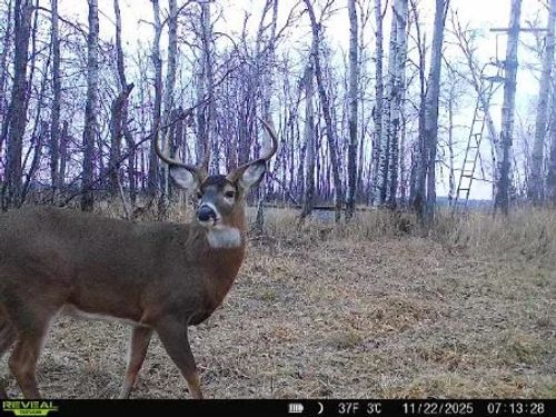 xxx Old 14 Rd, Weyerhaeuser, WI, 54895 | Card Image