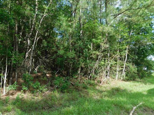hwy-421-9230 Bear Creek Drive, Kountze, TX, 77625 | Card Image