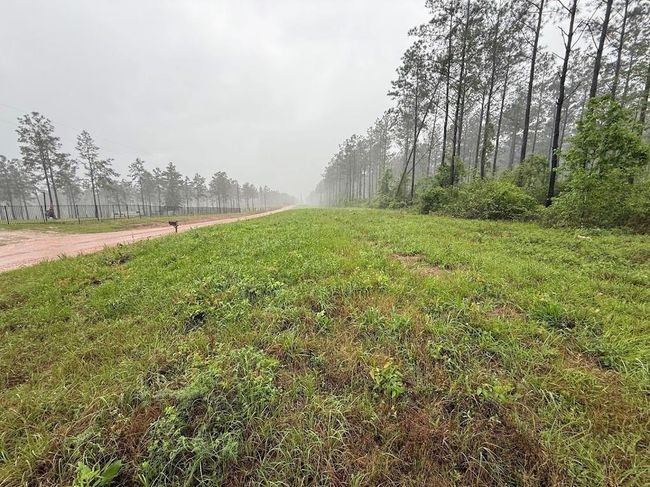 0 Richardson Rd E, Home with 0 bedrooms, 0 bathrooms and null parking in Livingston TX | Image 49