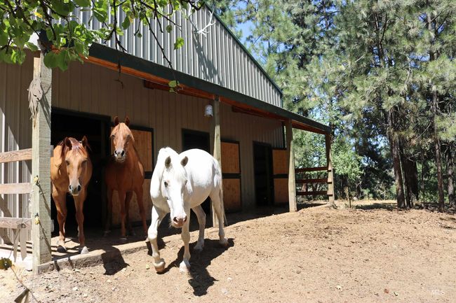 View of stable | Image 34