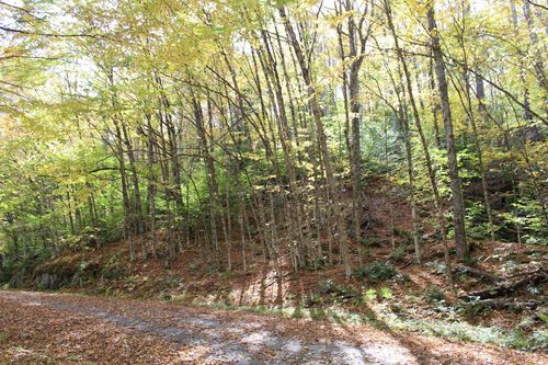 0 Timbercrest Rd, Stockbridge, VT, 05772 | Card Image
