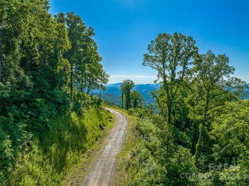29-9999-29 Lovebird Lane, Canton, NC, 28716 | Card Image