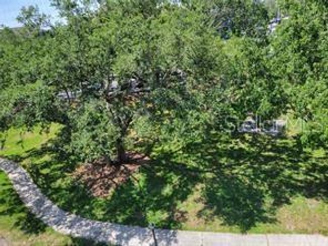 View from Balcony | Image 15
