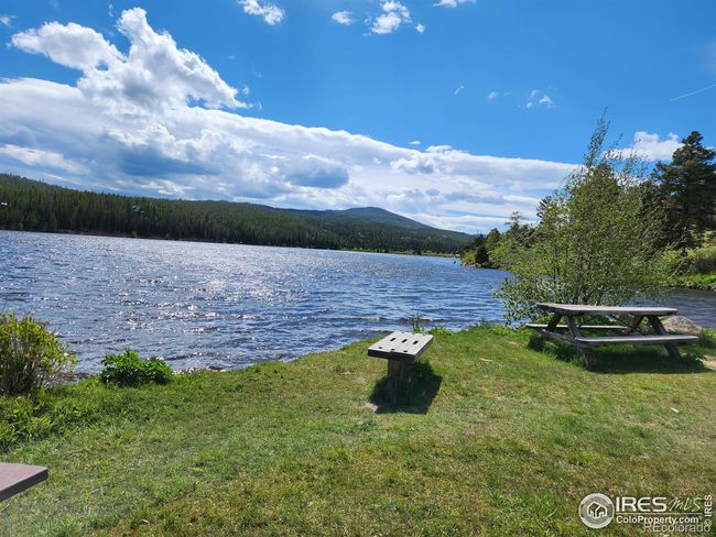 Come for a picnic. Enjoy the light breeze | Image 14