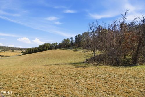 1470 Snake Hollow Road, Greeneville, TN, 37743 | Card Image
