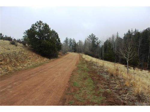 1620 Park Ridge Dr, Guffey, CO, 80820-9684 | Card Image