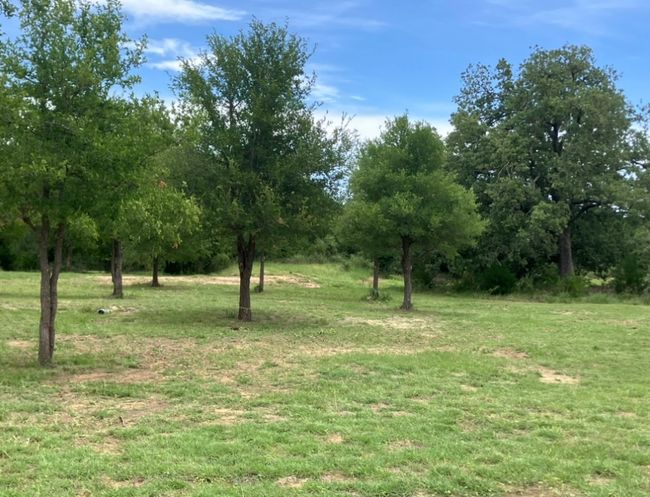 View of undeveloped land | Image 5