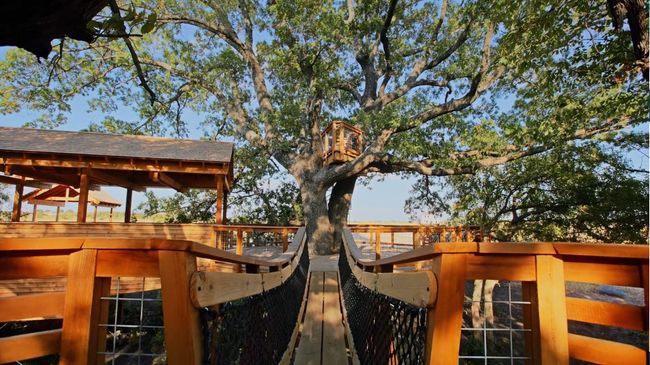 View of deck | Image 30