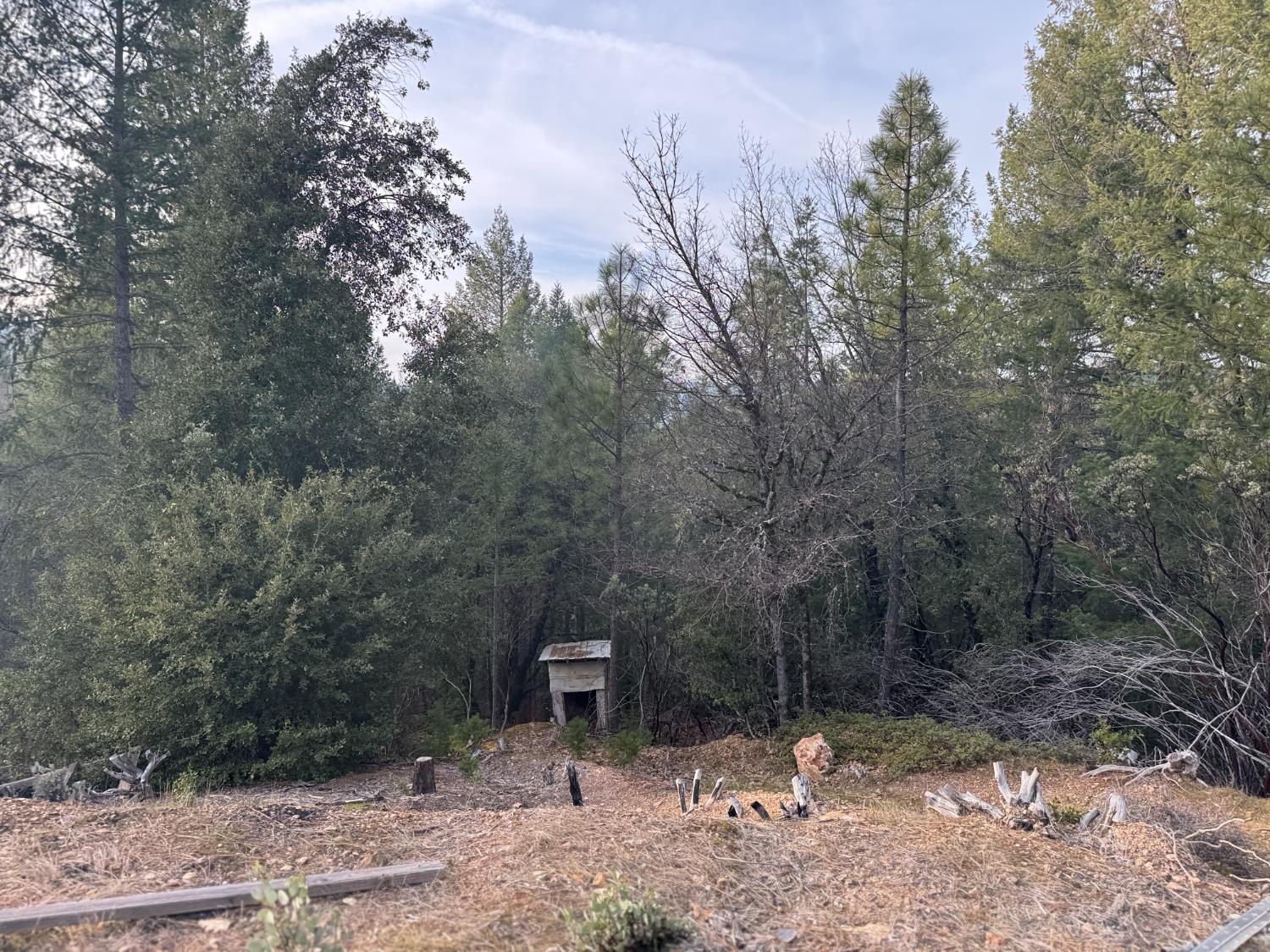 Land in Grass Valley 3