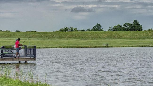 Dock with a water view and a yard | Image 8