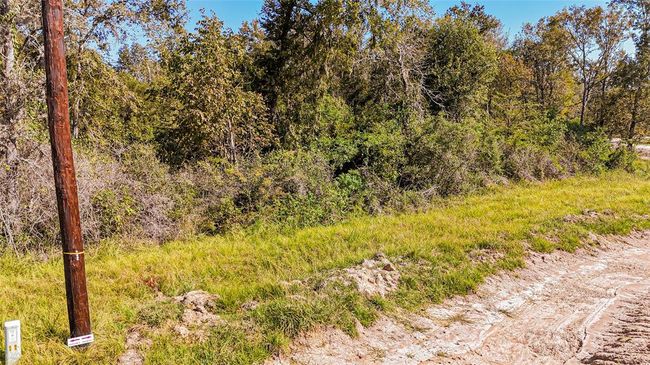 1 Oak Park Trl, Home with 0 bedrooms, 0 bathrooms and null parking in Onalaska TX | Image 4