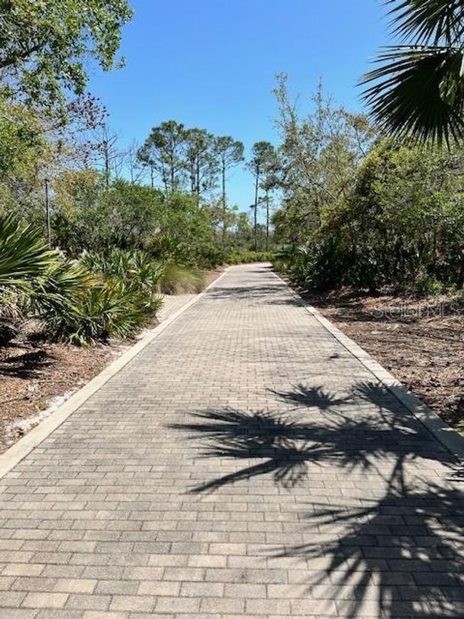 12190 Anchor Cove Dr, Home with 0 bedrooms, 0 bathrooms and null parking in Cedar Key FL | Image 6
