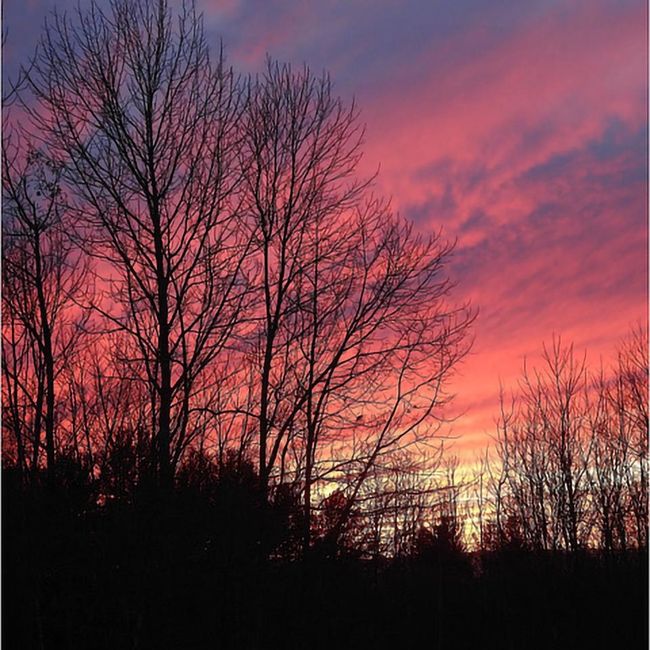 2 Juniper Ln, House other with 3 bedrooms, 3 bathrooms and null parking in Hanover NH | Image 26