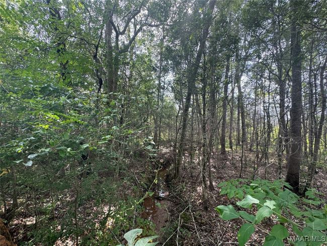 0 Highway 106 E, Home with 0 bedrooms, 0 bathrooms and null parking in Georgiana AL | Image 15