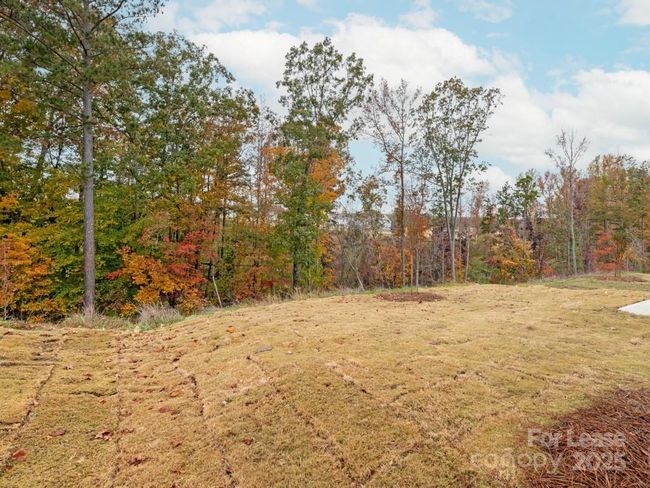 Wooded Private Lot | Image 20