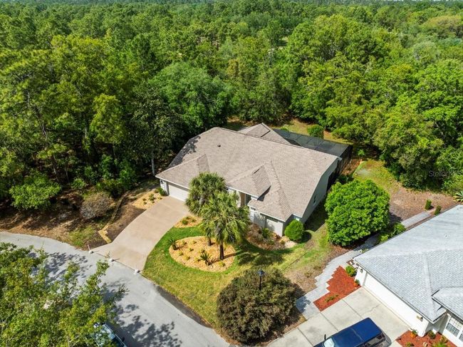 11 Nicotiana Ct, House other with 3 bedrooms, 2 bathrooms and null parking in Homosassa FL | Image 53