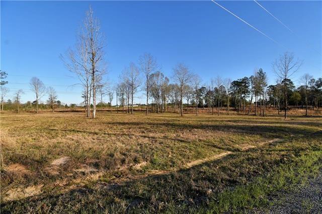 Land in Dry Prong
