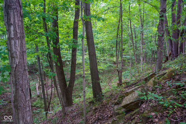 1000 N County Road 825 W, Home with 0 bedrooms, 0 bathrooms and null parking in Medora IN | Image 20