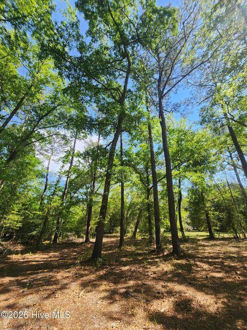 Lot 4 Shaw Hwy, Rocky Point, NC, 28457-9249 | Card Image