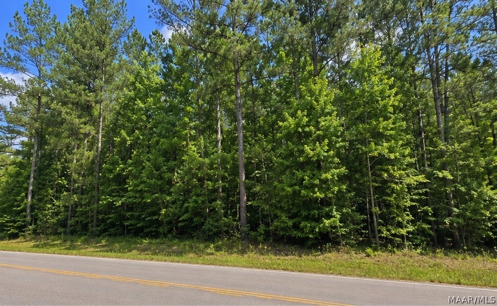 Land in Whatley 2